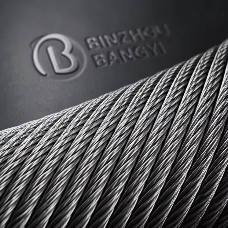 SS316 Stainless Steel Wire Rope 7x7 1.5mm 2.0mm 2.5mm 3.0mm Nylon Coated Ss Wire Rope Use for Invisible Grille