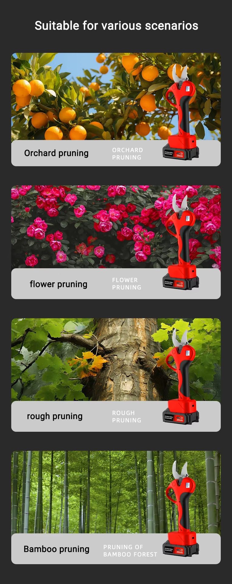 Product detail