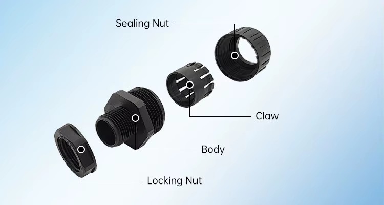 Product detail