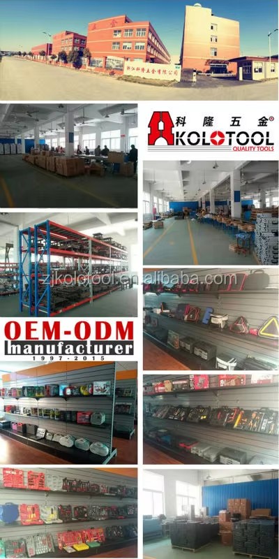 Hot Wholesale Customized 215pcs Scoekt Set 1/4" 3/8" and 1/2" Socket and Wrench Tools Set