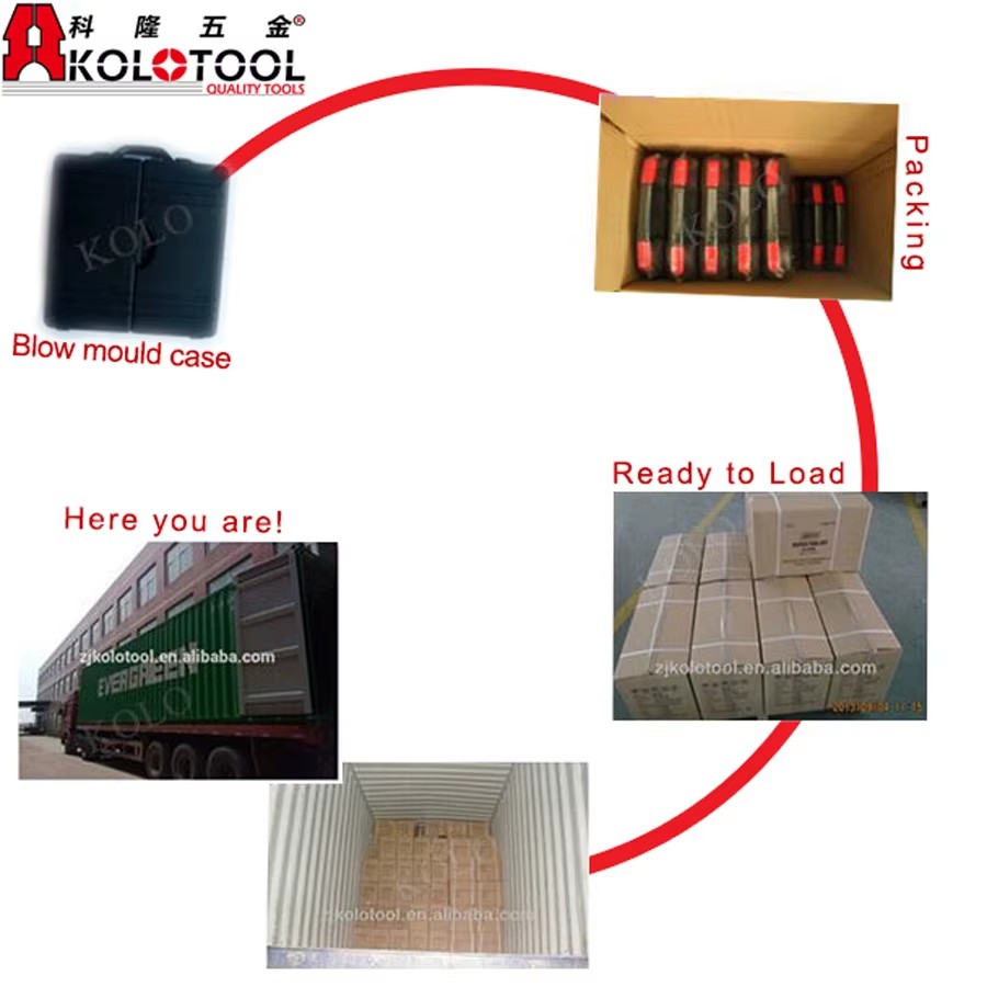 Hot Wholesale Customized 215pcs Scoekt Set 1/4" 3/8" and 1/2" Socket and Wrench Tools Set