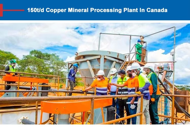 Mineral Separator Gold Processing Extraction Machines Line