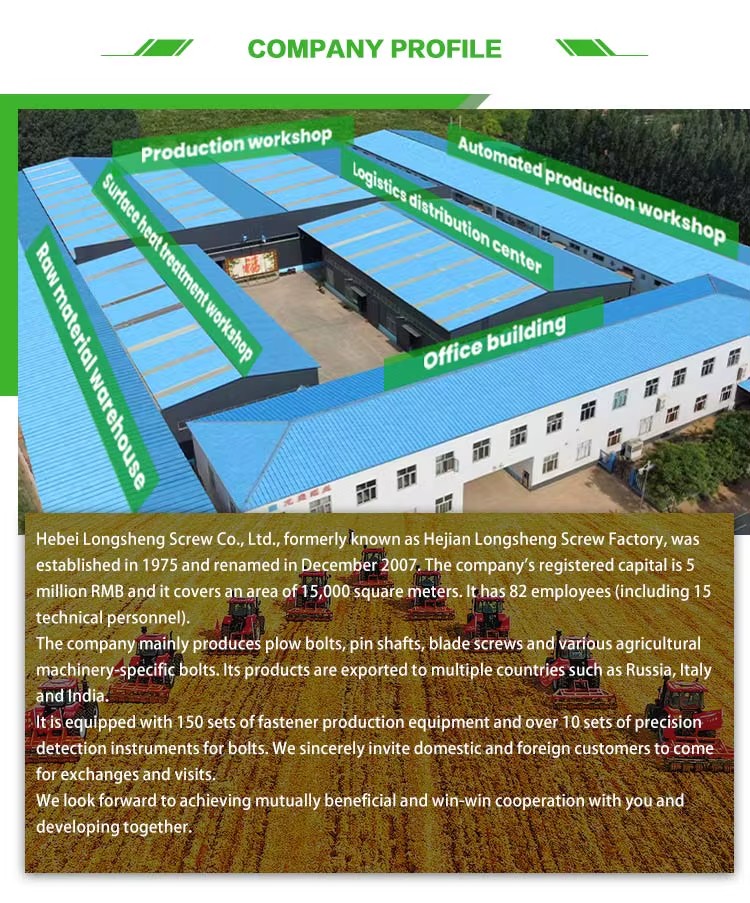 Rotary Tiller Intertillator and Harvester Blade Shaft Bolts Carbon Steel Zinc Plated Hex Head Grade 10.9 & 12.9