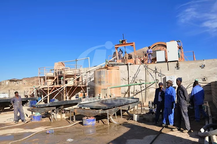 Small Scale Gold & Mineral Separator Processing Plant 50-300 TPH Capacity Flotation Separator Engine Pump Easy Operate