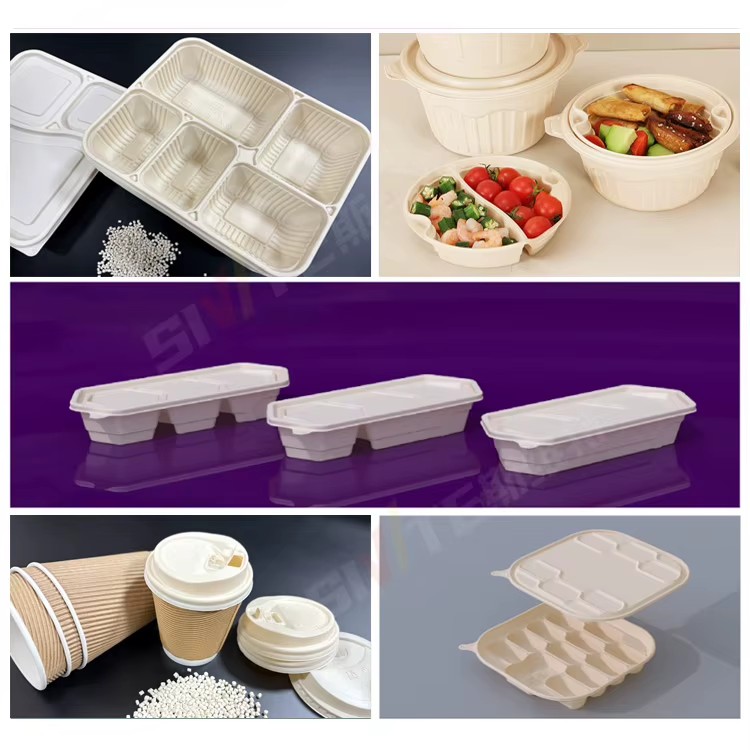 Machinery Energy Saving Biodegradable Twin Screw PE/PP/PS Sheet Extrusion Equipment PLC Controlled High Productivity