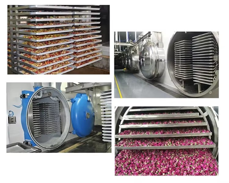 Energy Saving Automatic 150kg Industrial Freeze Dryer Low Noise Multifunctional Food Processing Equipment SUS304 Stainless Steel