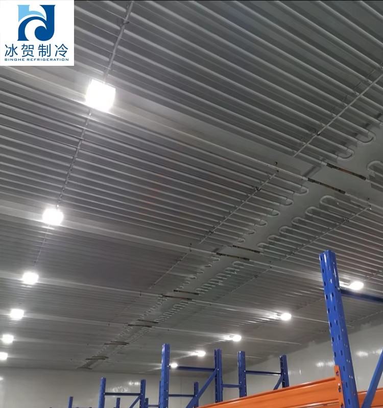 Commercial Retail Solution | Energy-Saving | Professional Equipment Laboratory Ultra Low Freezer | Professional