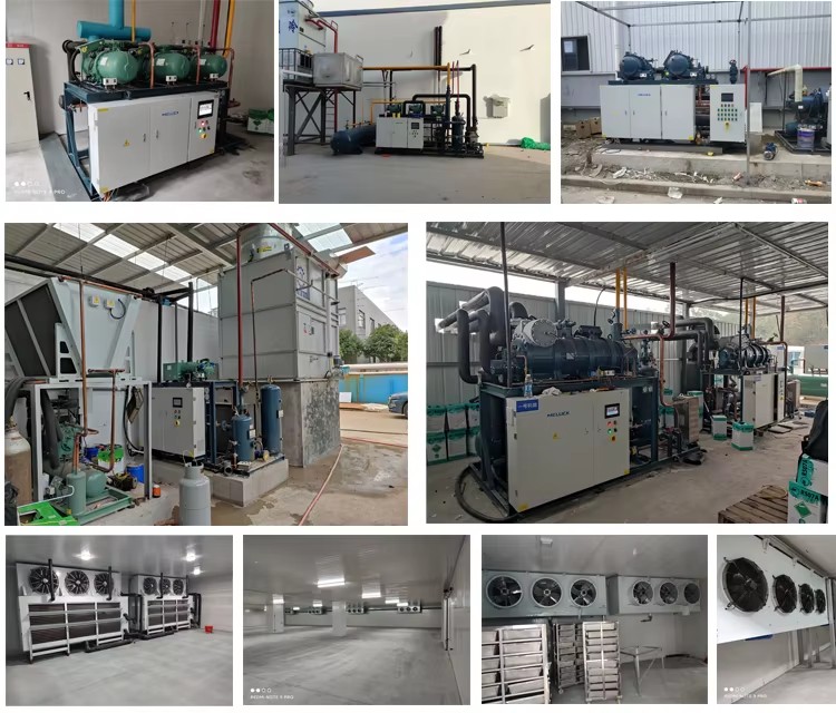 High-Efficiency Energy Saving Screw Condensing Units Automatic Control Industrial Refrigeration Cold Storage Room