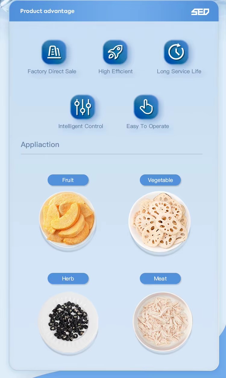 Lyophilization Equipment Freeze Drying Lyophilizer Machine Industrial Fruit Food Vacuum Freeze Dryer