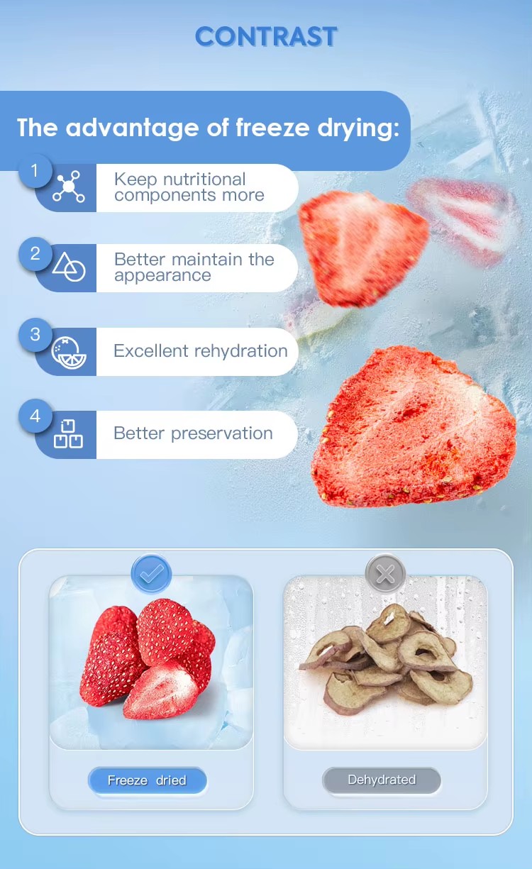 Lyophilization Equipment Freeze Drying Lyophilizer Machine Industrial Fruit Food Vacuum Freeze Dryer