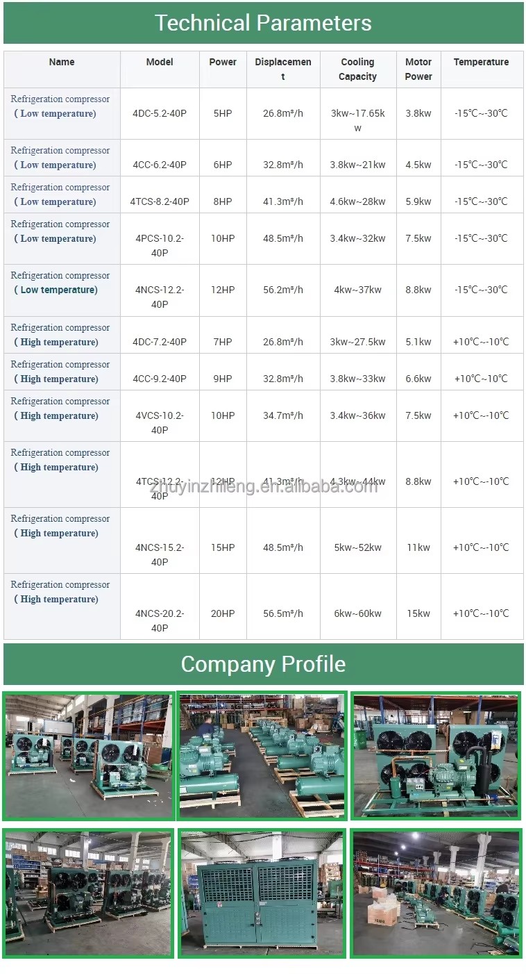 Made Guangdong Energy Saving Carrier Refrigeration Units Motor Pump R22/R404A Semi-Hermetic Piston Compressor 24 Months Warranty