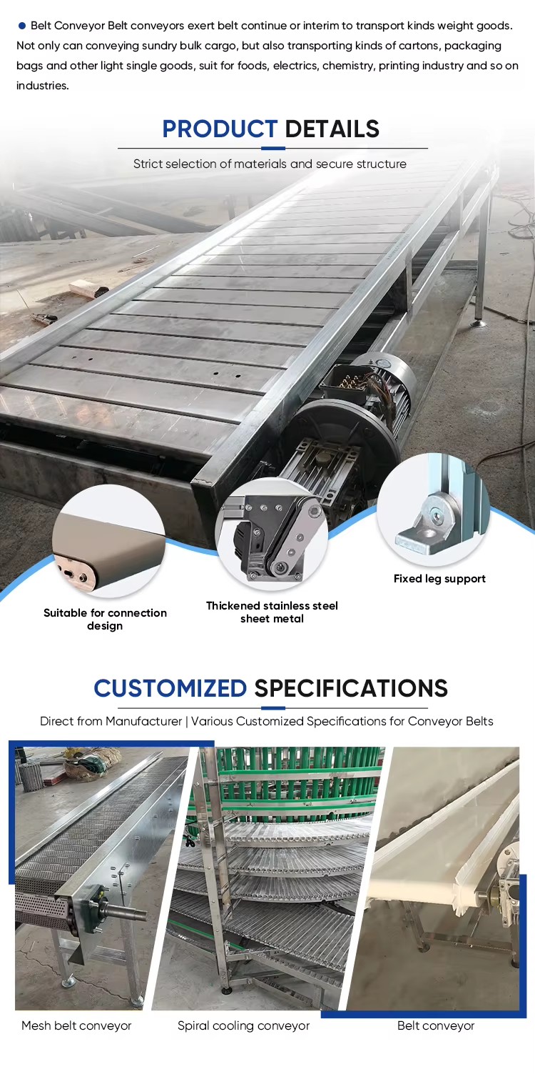 Modular Design Automated Conveyor Machine Easy Installation Disassembly for Factory Layout Adjustment
