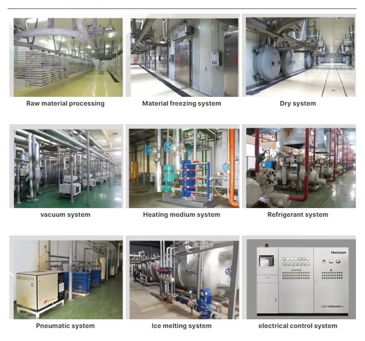 Commercial Automatic 200kg Freeze Dryer with SUS304 Stainless Steel for Fish Meat Protein Preservation and Nutrient Retention