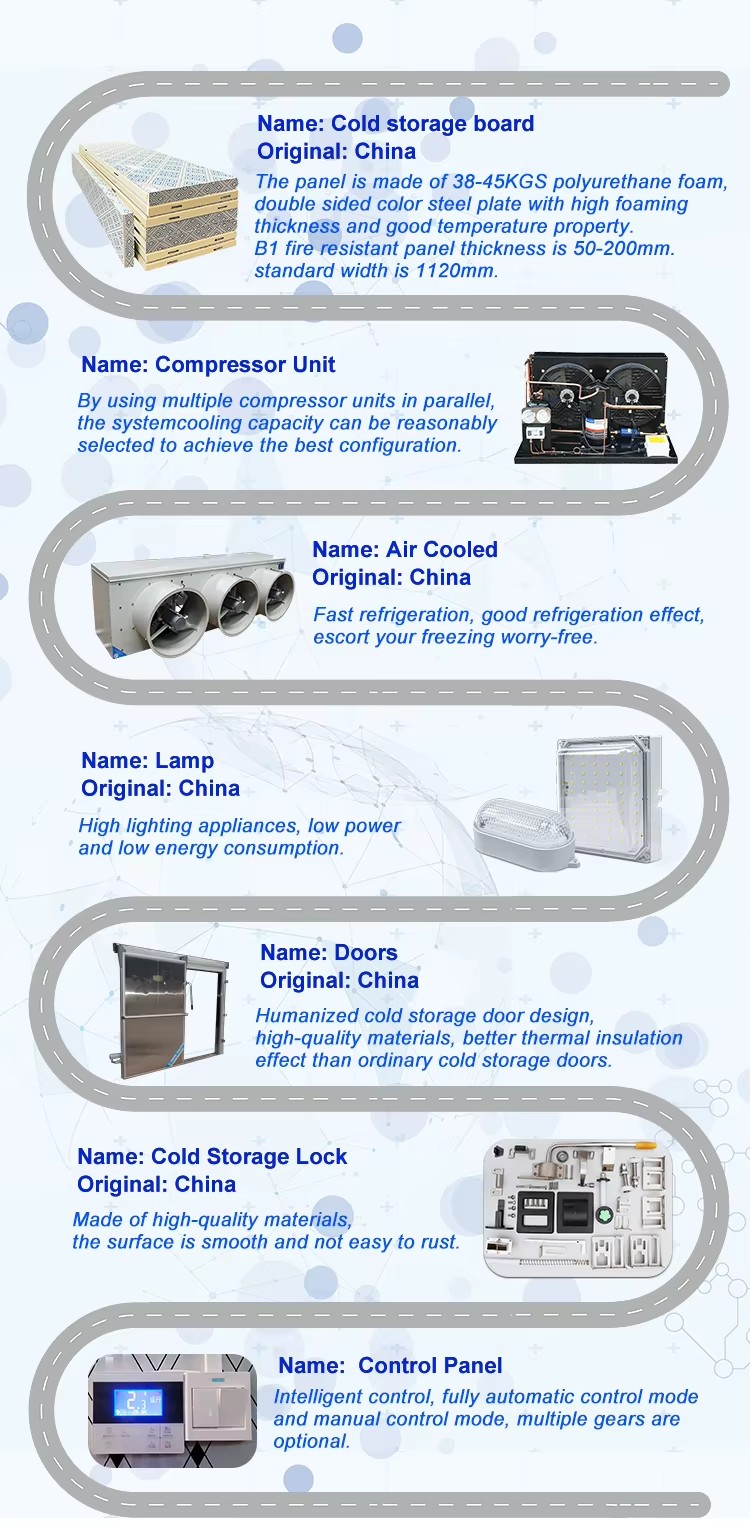 Low Price Energy Saving Hitachi Compressor Container Banana Chamber Ripening 10 Tons Cold Storage