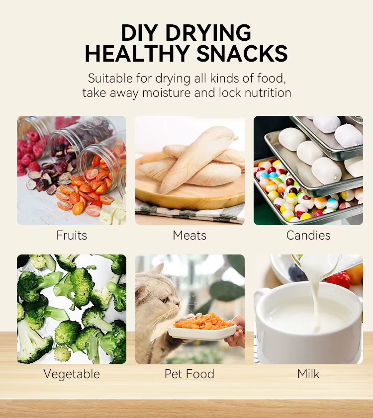Household Dry Fruits Machine Fast Freeze Dryer Stoppering Tray Freeze Drier Equipment