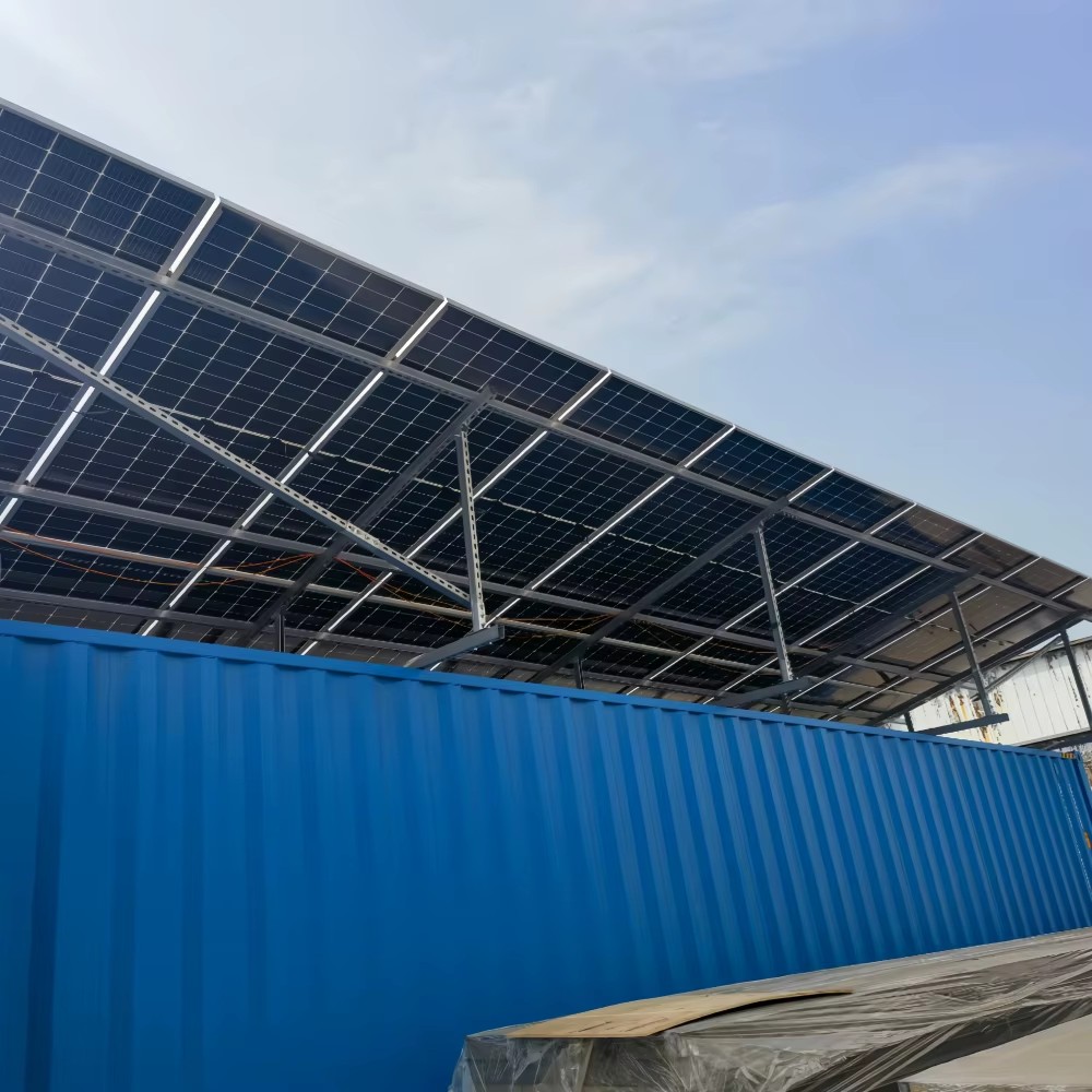Off-Grid Solar Power 40ft Dual Zone Container Cold Storage Modular Chiller Freezer Room for Fishery Farm Meat Fruit Food Storage