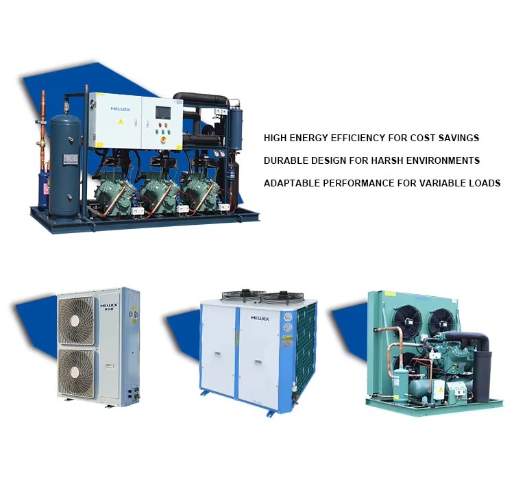 New Cold Storage Room Easy-to-Operate Freezer for Fruit Energy Saving 100mm Panel Cold Room