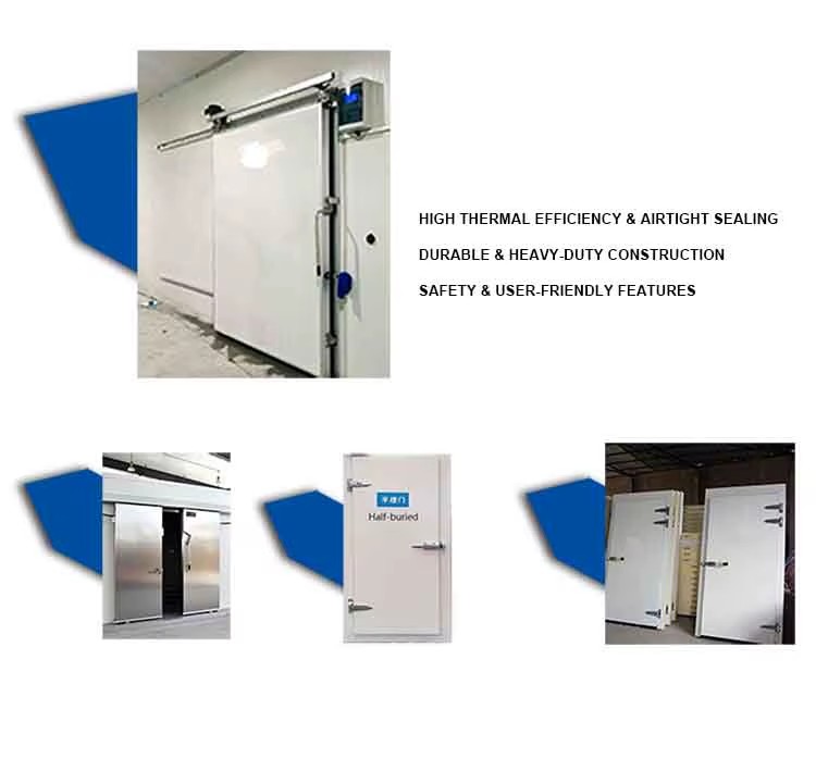 New Cold Storage Room Easy-to-Operate Freezer for Fruit Energy Saving 100mm Panel Cold Room