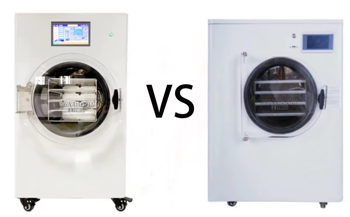 Best Quality 6kg Freeze Dryer Food Drying Lyophilizer Machine Price for Home With Oil Free Vacuum Pump Instock