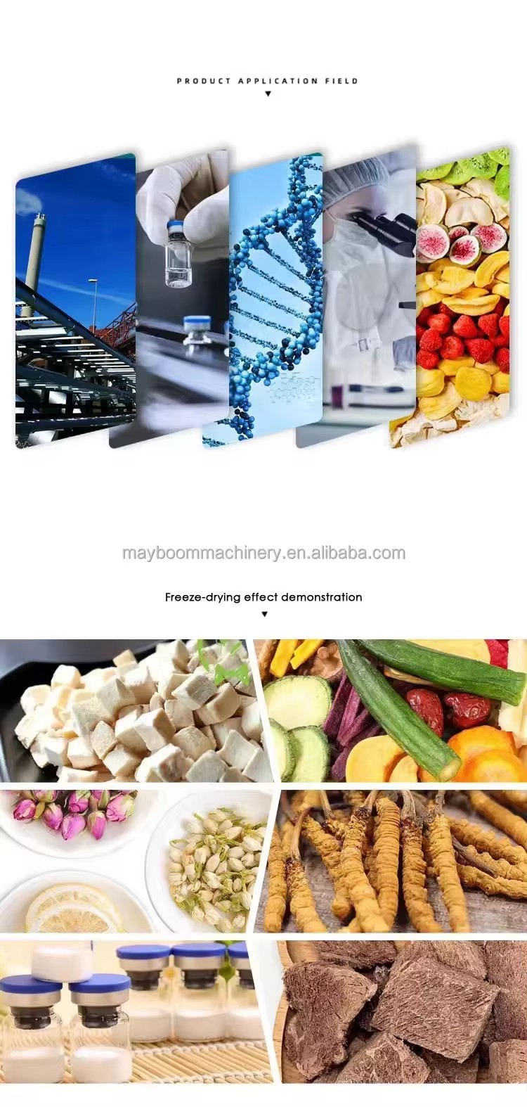 Product detail