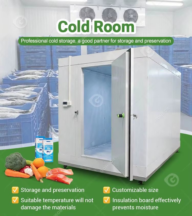 Commercial Storage Cold Mini Froide Portable Chambre