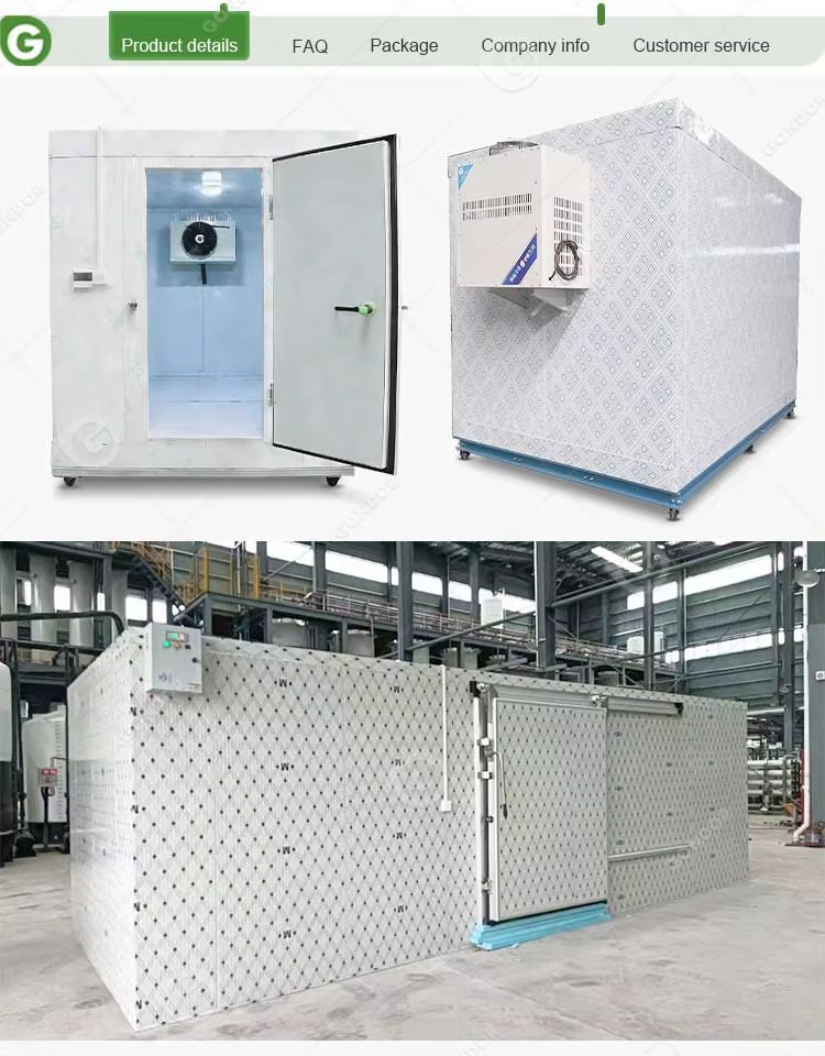 Commercial Storage Cold Mini Froide Portable Chambre