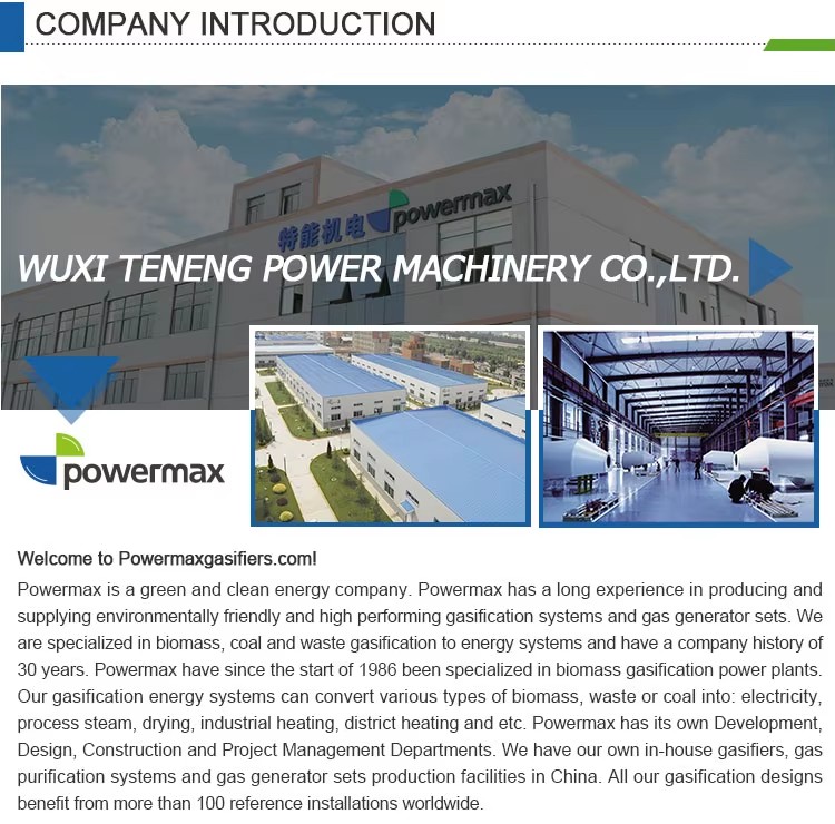 Coal Gasification Power Generation Plant Clean Energy Generator Syngas to Electricity 2MW-100MW Solutions