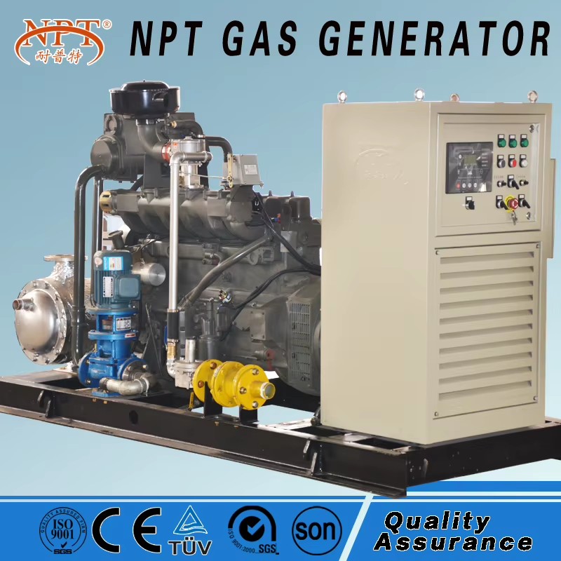 Biogas Plant to Generate Electricity with CE