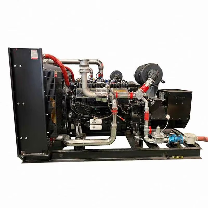 Biomass Electricity Generation Plant 50-200kw CHP LPG/Natural Gas/Biogas Syngas Electric Generator 100% Copper Wire