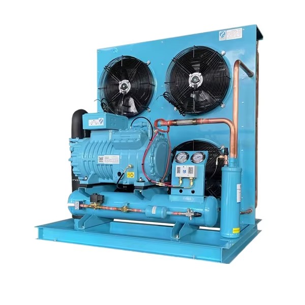 Energy-Saving Freezer Condenser Retail Unit with Low Noise Piston Refrigeration Compressor