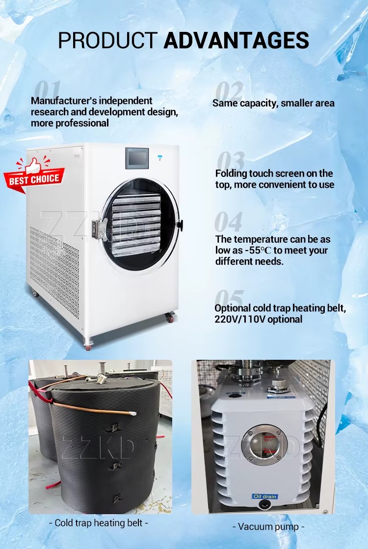 Best Quality 30kg Vacuum Freeze Dryer Food Drying Lyophilizer Machine Price for Home with Oil Free Vacuum Pump