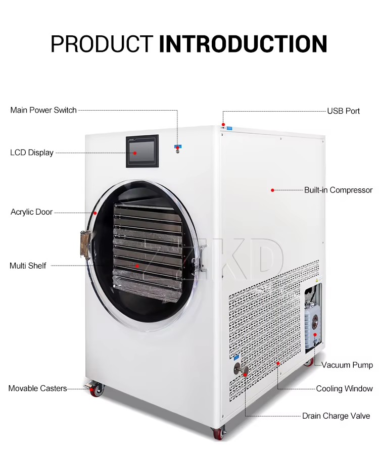 Best Quality 30kg Vacuum Freeze Dryer Food Drying Lyophilizer Machine Price for Home with Oil Free Vacuum Pump