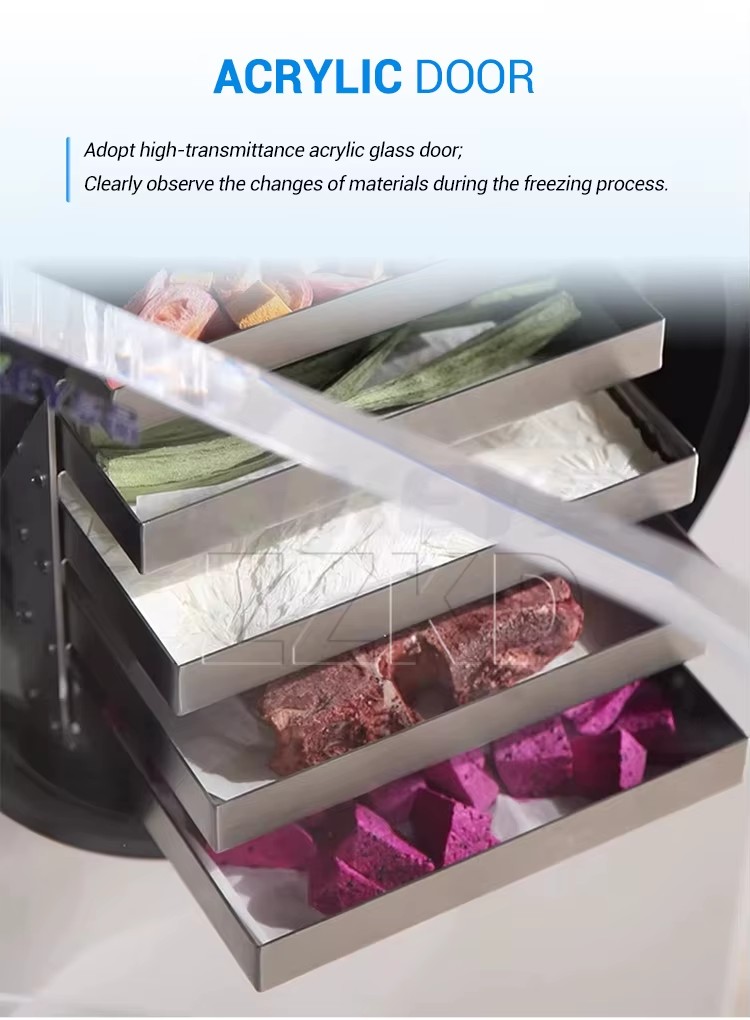 Best Quality 30kg Vacuum Freeze Dryer Food Drying Lyophilizer Machine Price for Home with Oil Free Vacuum Pump