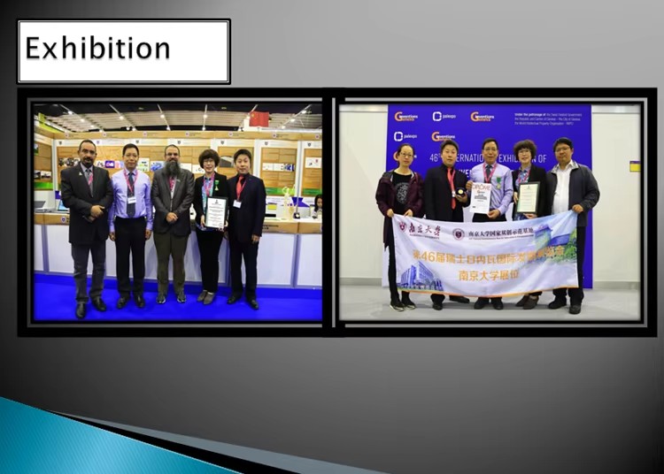 Customize Hydrogen Generator Hydrogen AEM/PEM Electrolyzer System Fuel