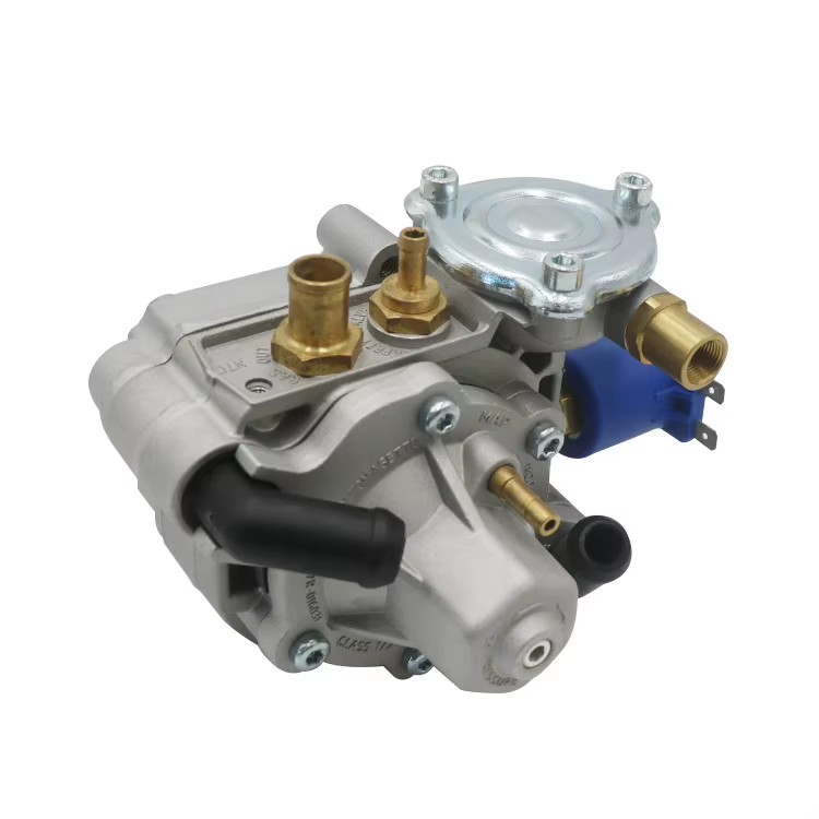 Parts Pressure Reducer Gnv lpg Glp Gas Reducer AT13