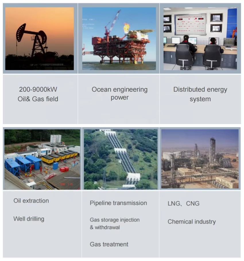 3 Mw Gas Generation Set LNG CNG Gas Piston Power Plant