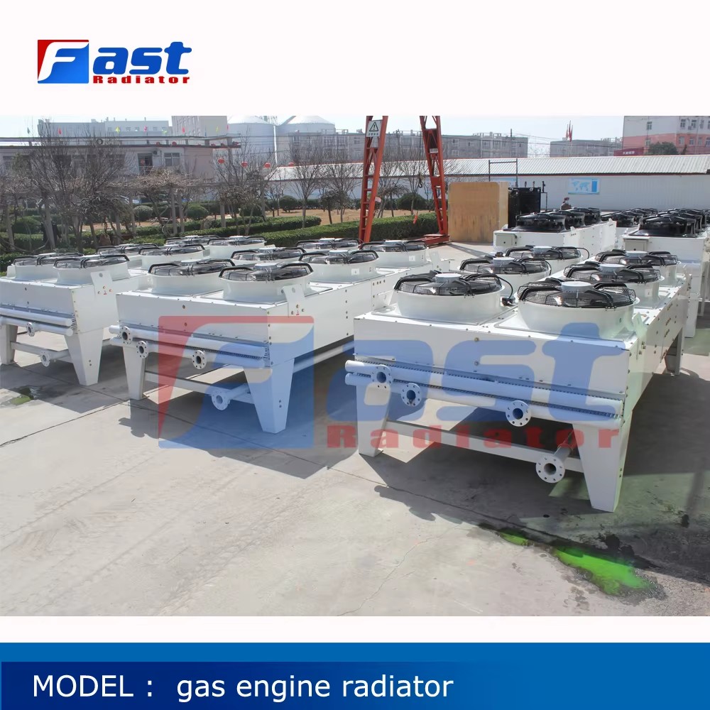 FAST Brand Wartsila Gas Solutions for TCG 3016 Copper Drycooler Radiator Natural Gas Engine Generator Machinery Parts