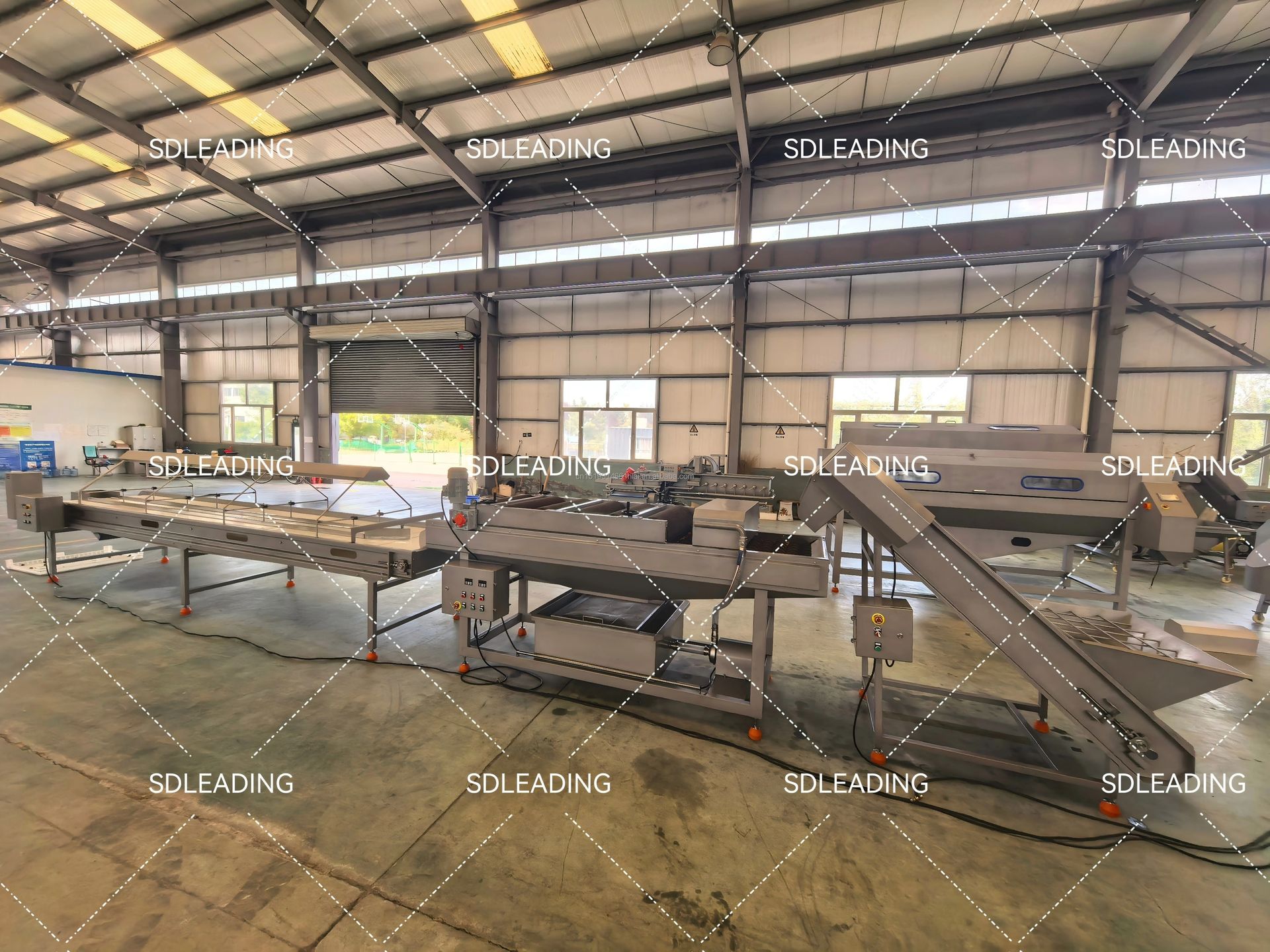 Industrial Automatic Palm Dates Processing Machine Dates Washing Machine and Weight Size Grading Sorting Machine for Medjool