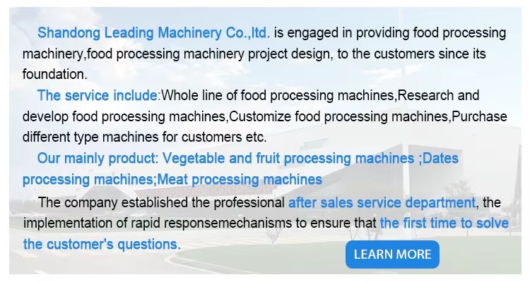 Industrial Automatic Palm Dates Processing Machine Dates Washing Machine and Weight Size Grading Sorting Machine for Medjool