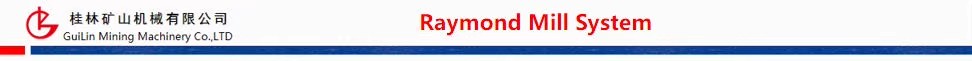 Energy Saving Calcium Carbonate Raymond Mill Machine with Large Capacity