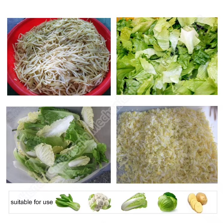 Centrifugal Spin Dehydrator Machine Vegetable Dewatering Machine Vegetable Vibration Dewatering Machine