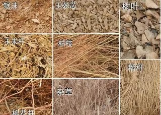 Agriculture Wastes Briquette Machine Paper Wood Process Pini Kay Briquette Charcoal Press Making Machine for Sale