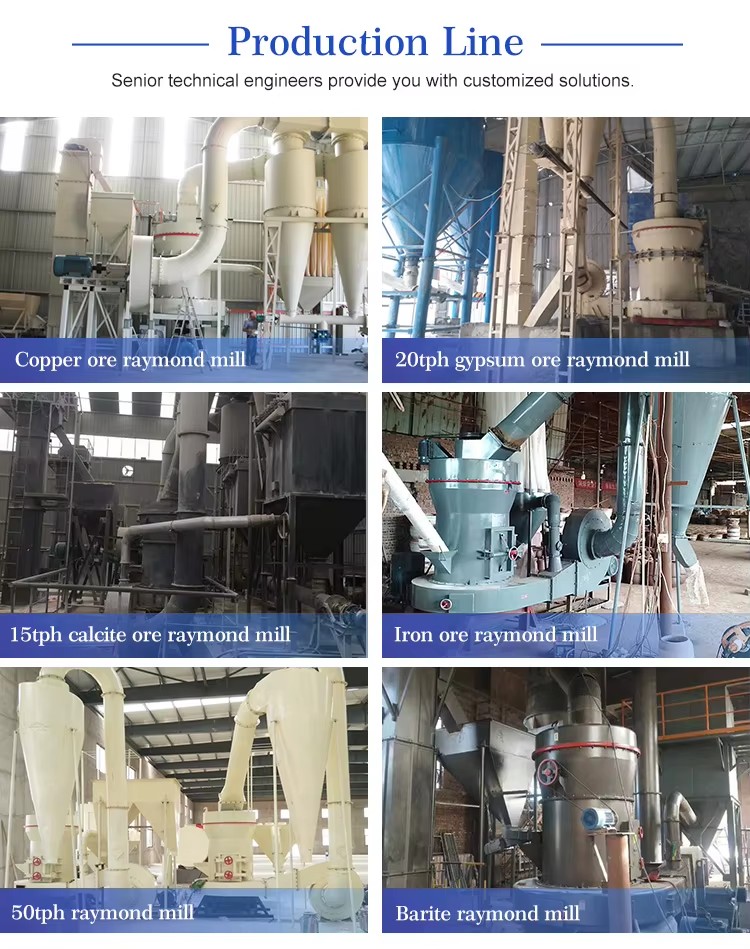 Raymond Mill Machine Limestone Dolomite Granite Ore Grinding Engine AC Motor 1.0-4t/h Capacity Vertical Roller Mill