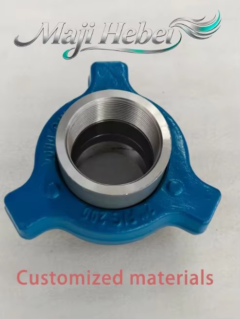 Customized Brand Forged High-Pressure Hydraulic Connector for Oilfield Use Welding/Threaded Connection FIG1502 Model