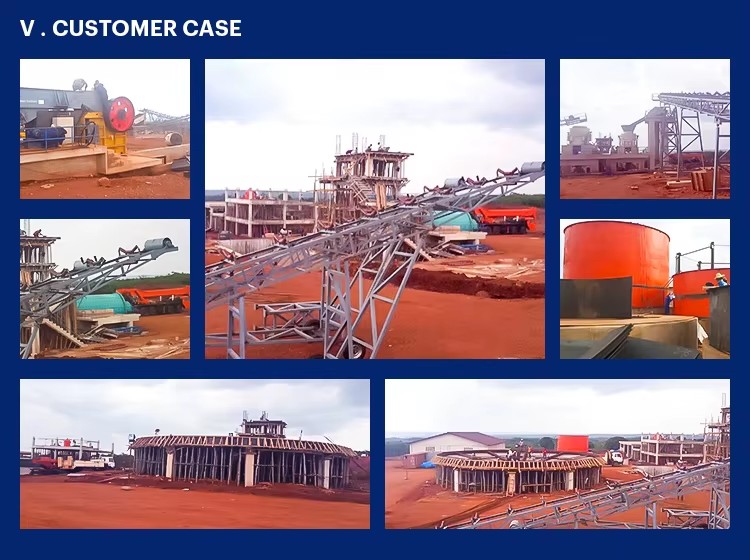 Widely Used 20tph 400tpd Gold Mining Processing Equipment Gold Ore Flotation Plant