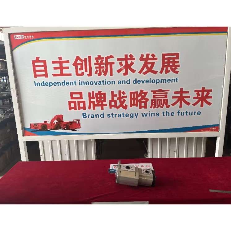 Adequate Spare Parts Supply Tuoxing Mining Machine Parts for Underground Truck LHD Scooptram Steel 1 Year Warranty Shandong