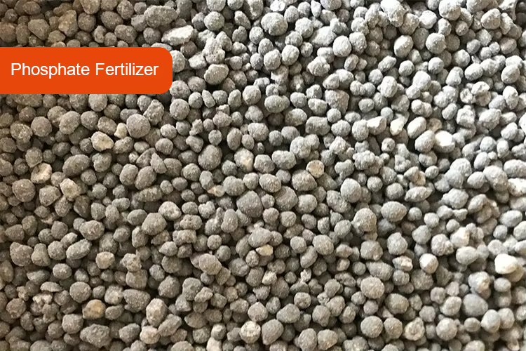 Brand AC Motor Diammonium Phosphate (DAP) Calcium Magnesium Phosphate Fertilizer Grinding