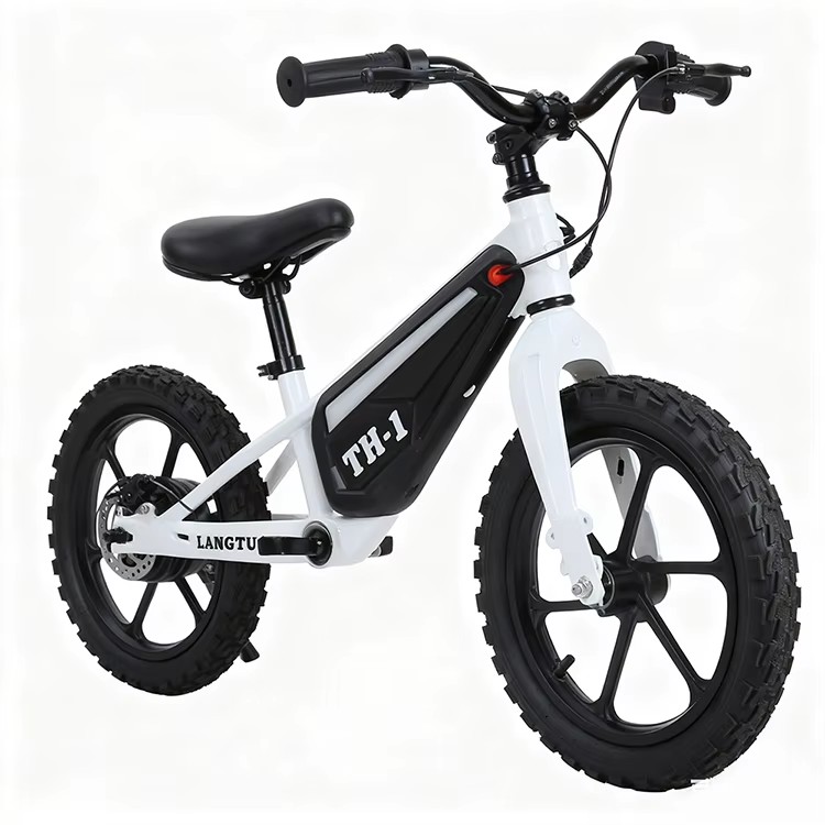 2025 New Product Kids Balance Bike 16 Inch Scooter Bike 250W Lithium Battery Brake Line Magnesium Alloy Frame Single Speed