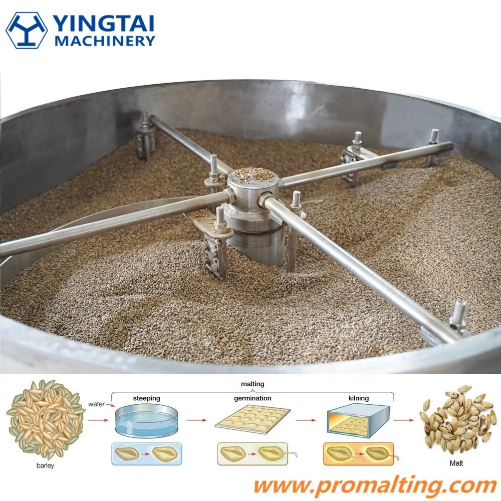 Yingtai Promalting Barley Malt Roasting Equipment for Roasted Malts Production