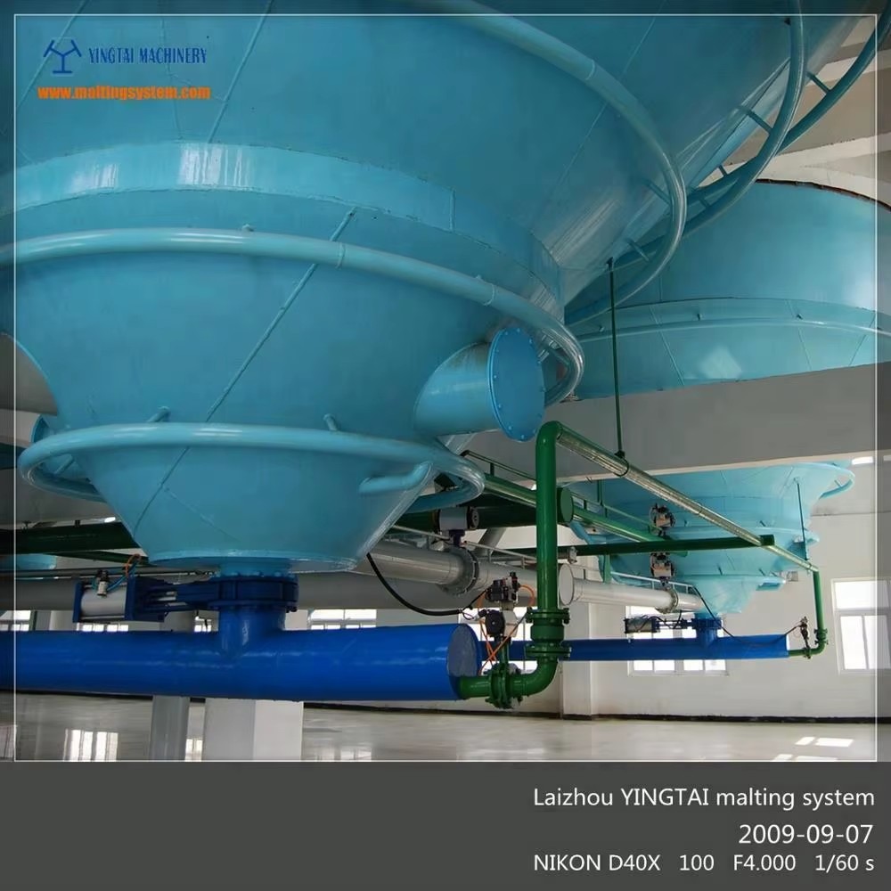Yingtai Professional Wheat Malting Equipment Malting Service for Malting Companies